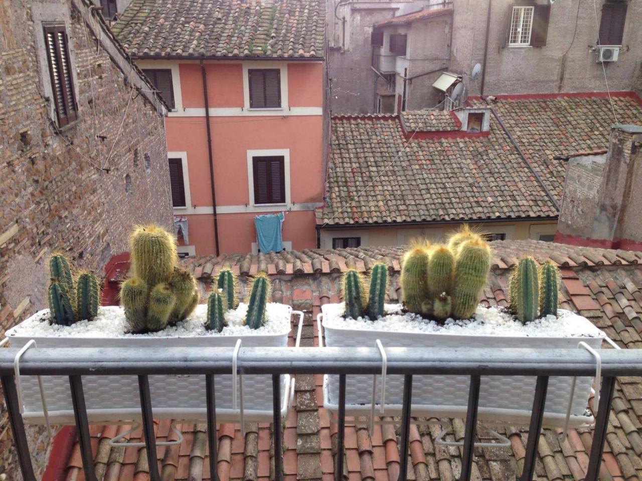 Bbhomerome - Campo Dei Fiori Balcony View Penthouse المظهر الخارجي الصورة